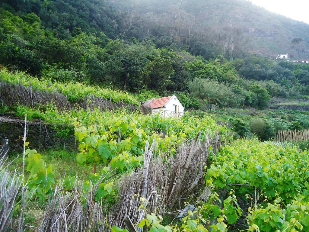 A Casa Estrelicia-Dourada Garces Villa São Vicente Buitenkant foto