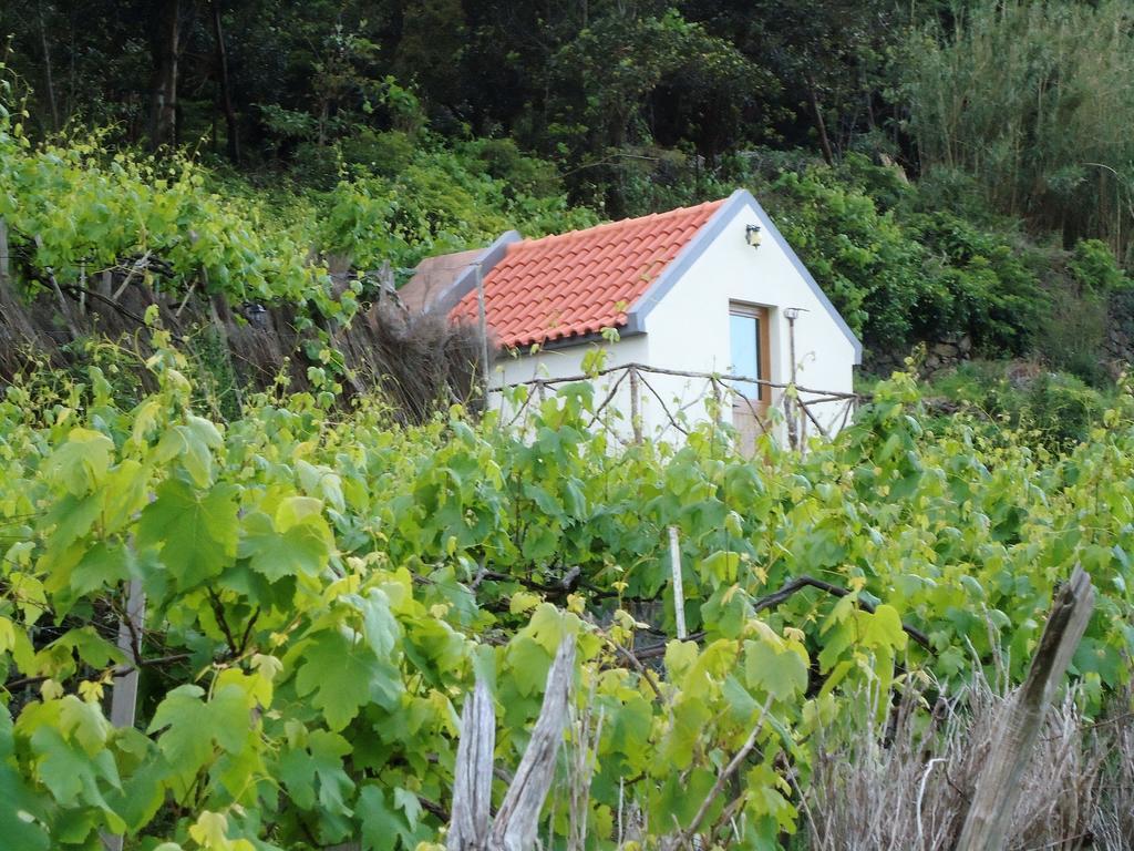 A Casa Estrelicia-Dourada Garces Villa São Vicente Buitenkant foto