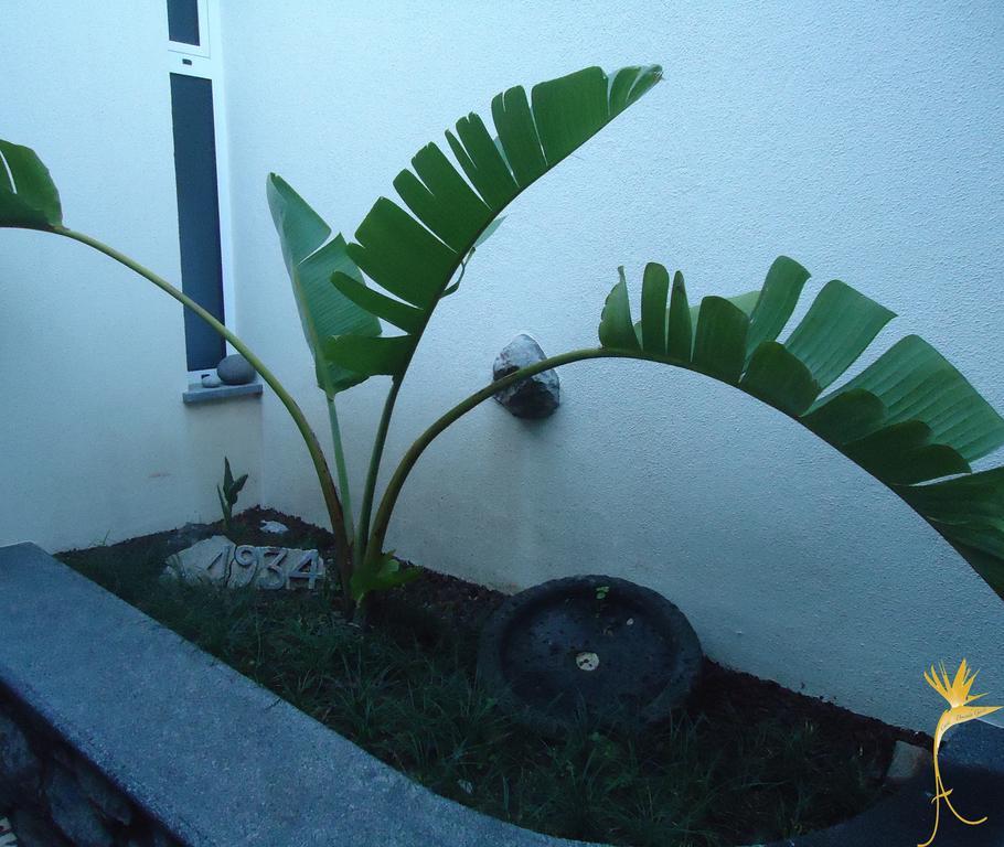 A Casa Estrelicia-Dourada Garces Villa São Vicente Buitenkant foto